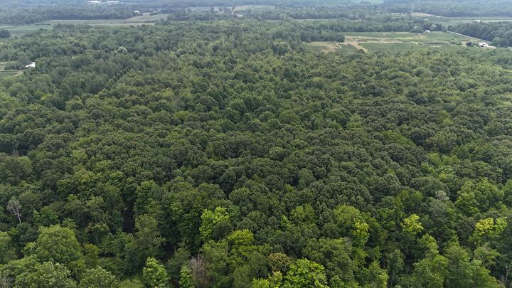 Property Photo: Lot A 105th Avenue MI 49090