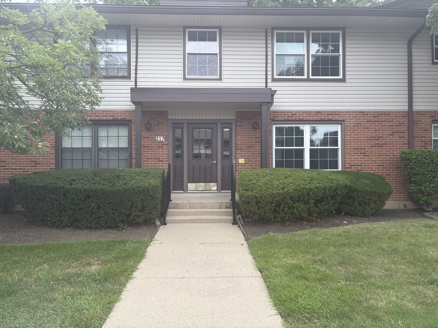 Property Photo:  217 Washington Square D  IL 60007 
