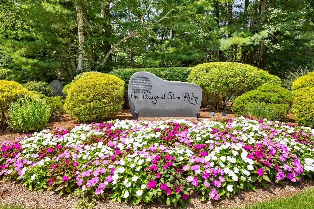 Property Photo:  14 Sandstone Rd 14  MA 01886 