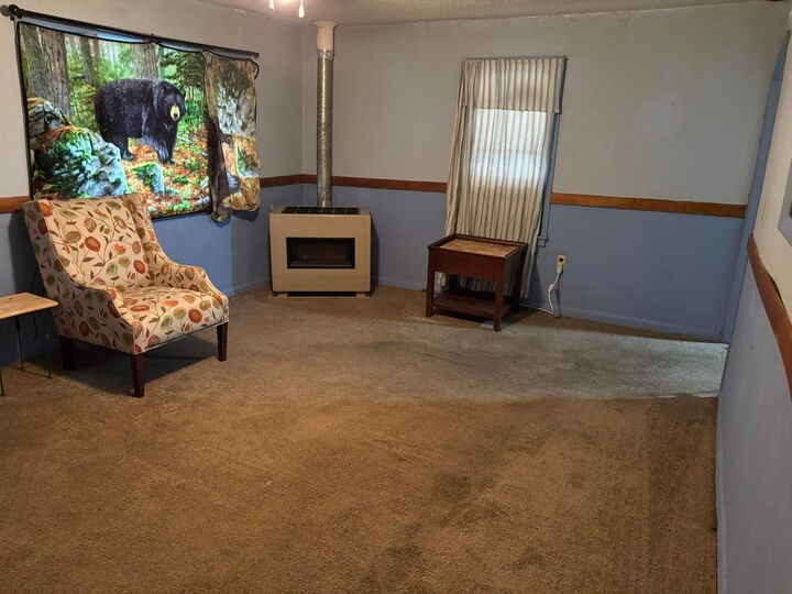 Property Photo: 1019 Chestnut Avenue MO 65689