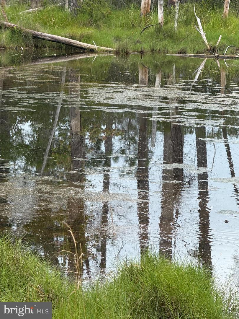 Property Photo: Farm Creek MD 21672