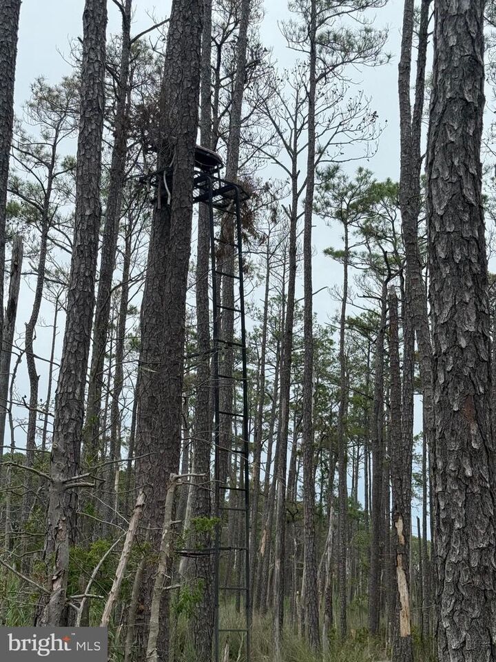 Property Photo:  Farm Creek  MD 21675 