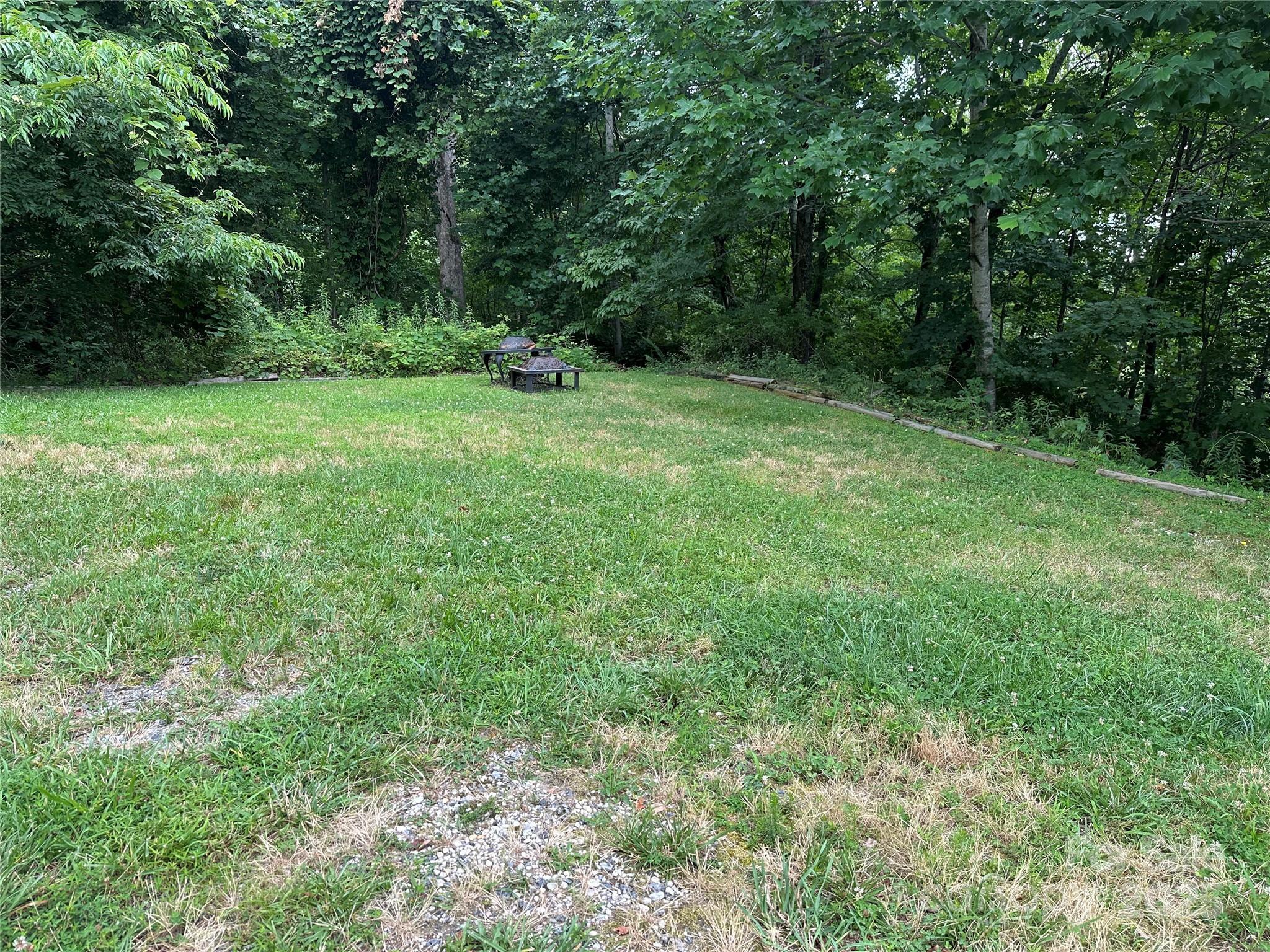 Property Photo: 109 Ladys Fern Trail NC 28739