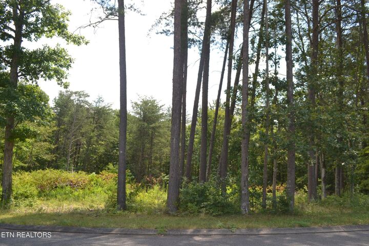 Property Photo:  0 Countryside Drive  TN 37327 