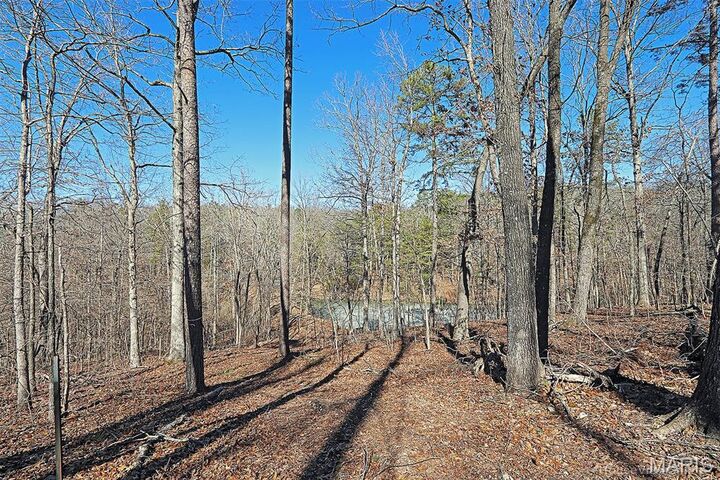 Property Photo: 37801 State Hwy Hh MO 63662