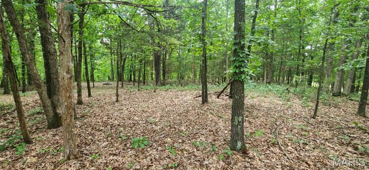 Property Photo:  2346 W Squire Road  MO 63357 