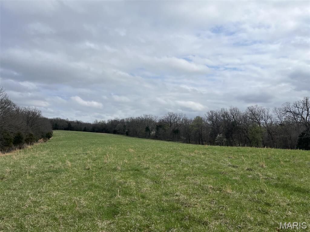 Property Photo: (31.26+/-Ac) Tract #3 Horstman Road MO 63068