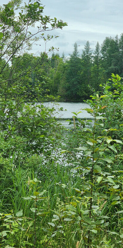 Property Photo: Map7 Lot21 ME 04776