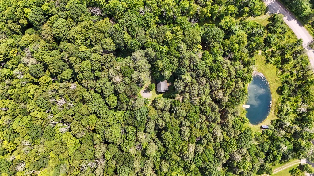 Property Photo:  768 Washburn Rd  NY 14883 