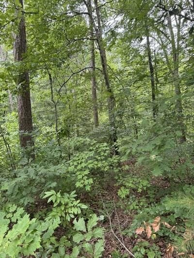 Property Photo:  Lot 5 Harris Creek Drive  GA 30540 