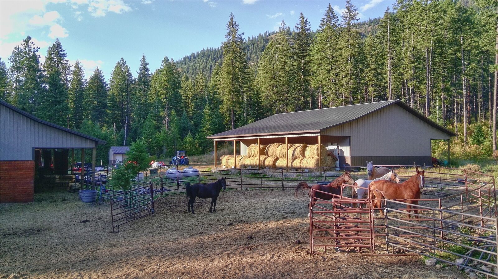 Property Photo: 54 Red Fir Lane MT 59853