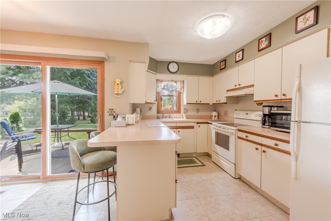 Property Photo:  10664 Scottsdale Drive  OH 44136 