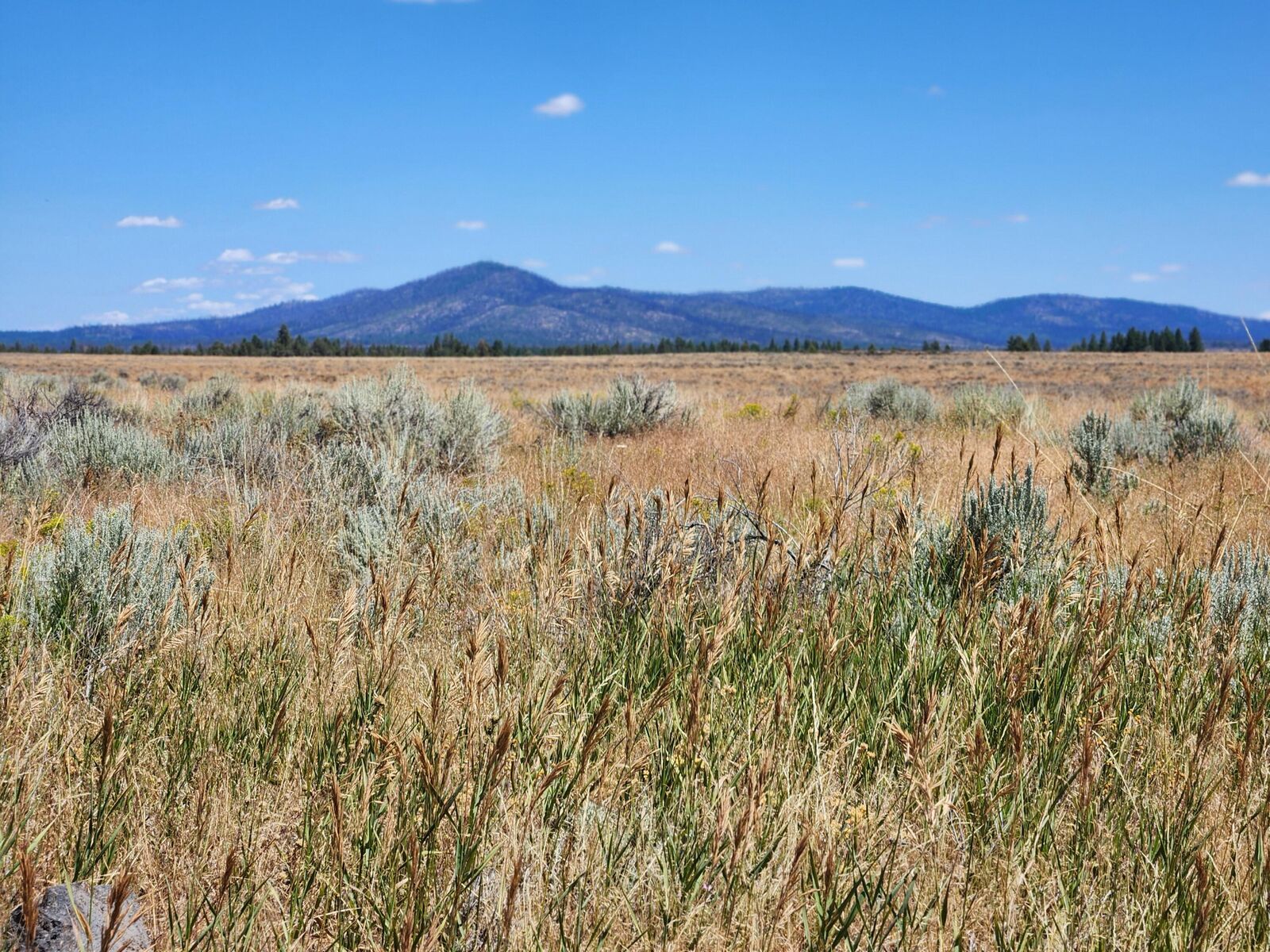 Property Photo:  Oregon Pines Lot 2000  OR 97639 