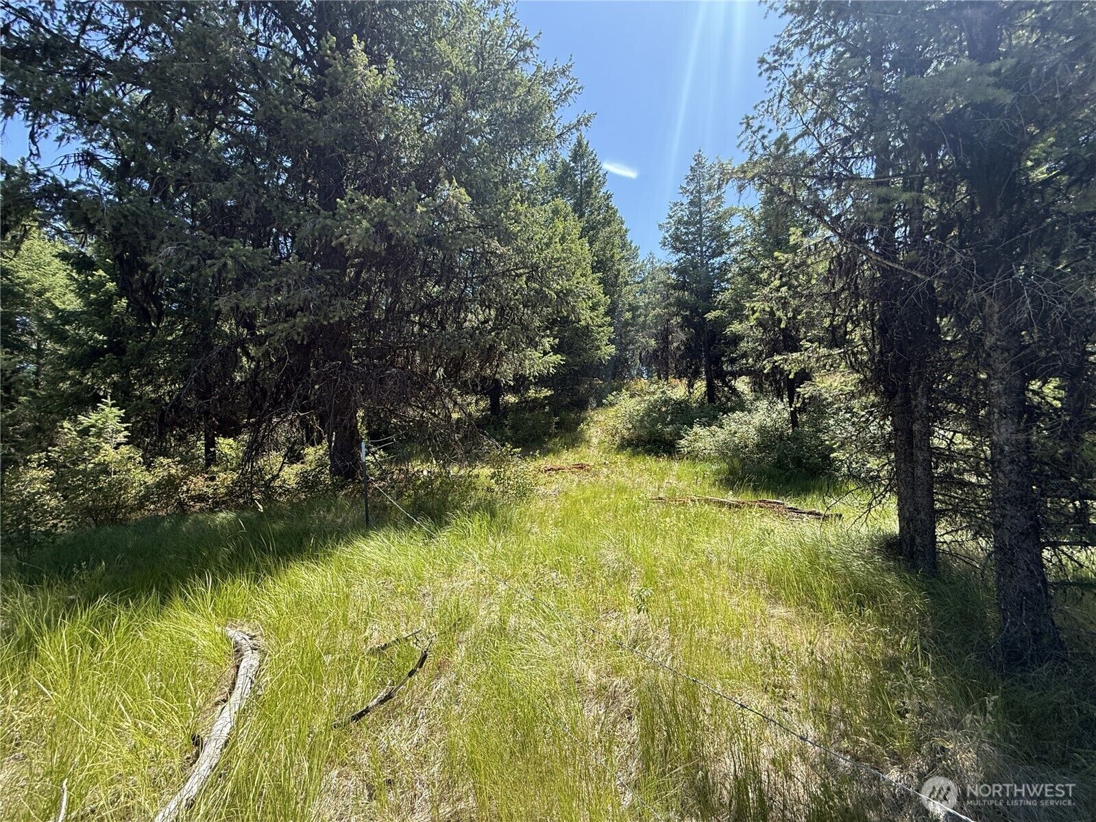 Property Photo: 135 Slippery Hill Lane WA 99166