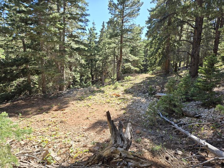 Property Photo: Brown Bear Rd UT 84762