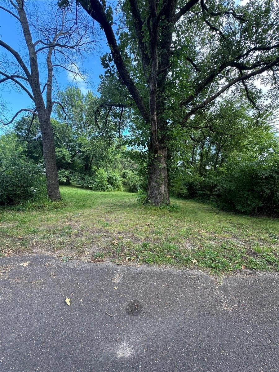 Property Photo:  546 Cedar Street  MO 65441 