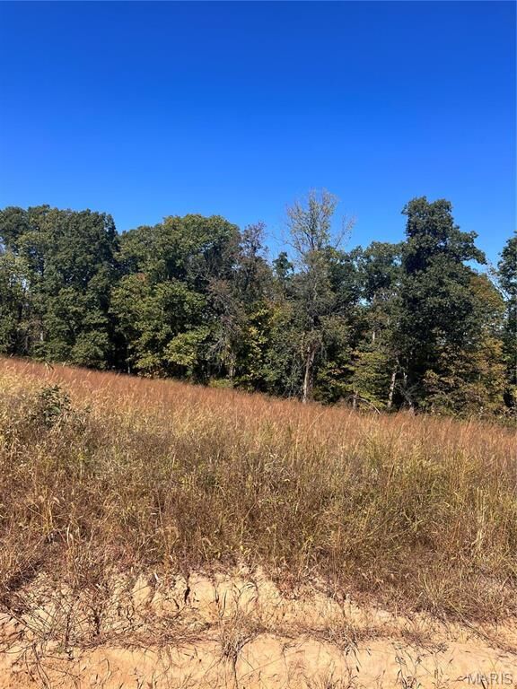 Property Photo: 3 Gratzer Lane MO 63077
