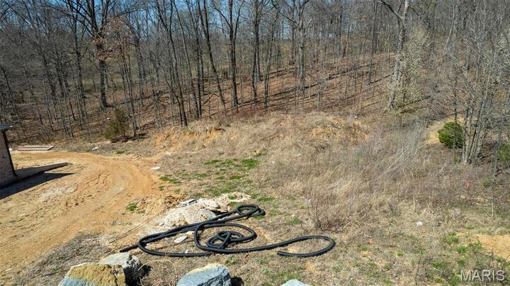 Property Photo:  165 Castle Rock Village  MO 63701 