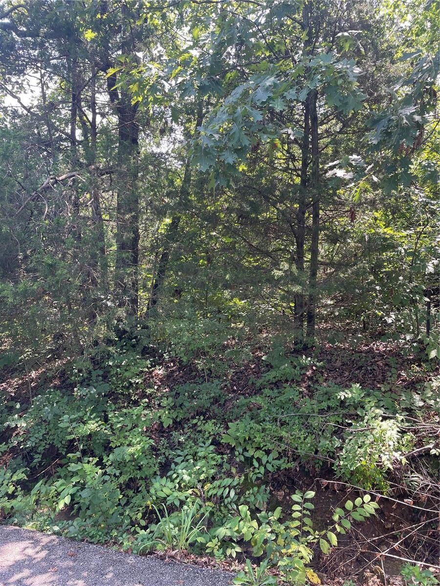 Property Photo: 0 Marathon Drive MO 63020