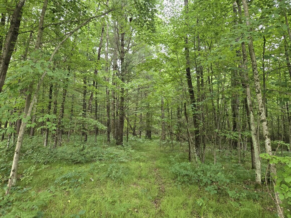 Property Photo:  5369 E 68th Street  MI 49623 