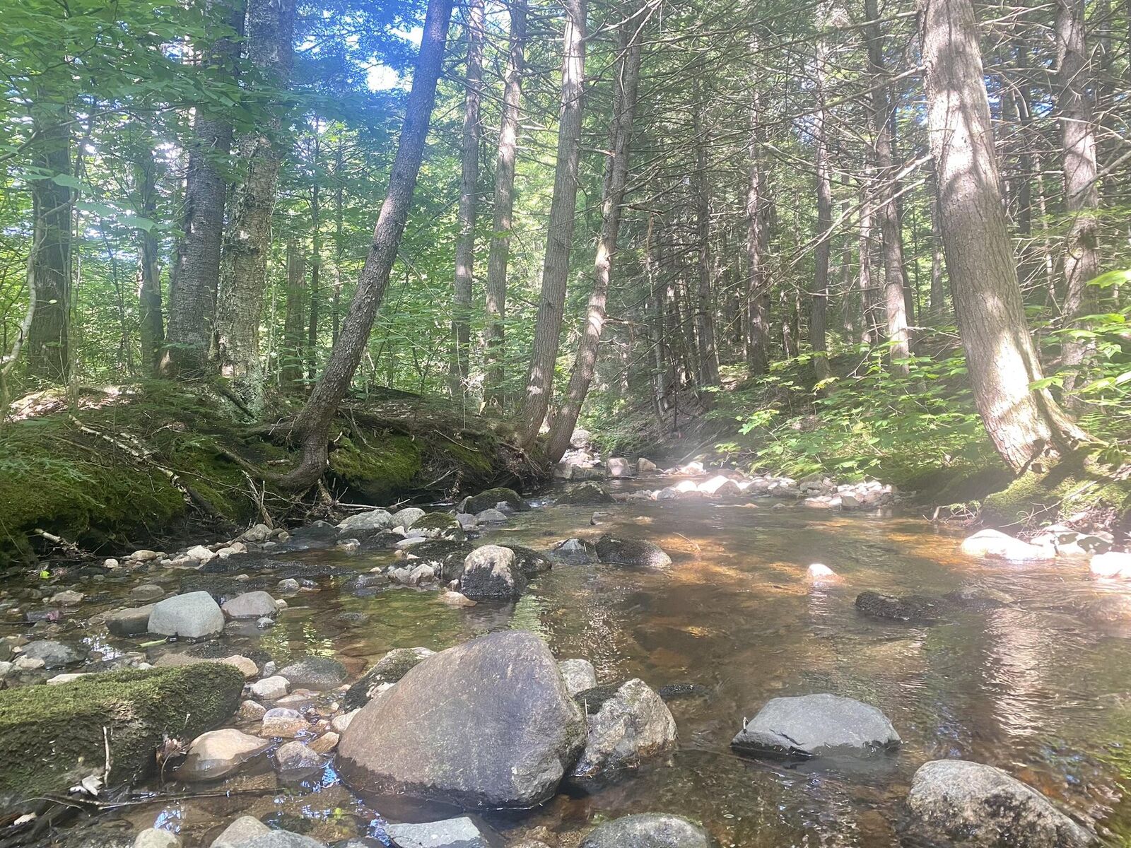 Property Photo: 2,4,6 Willis Bean Road NH 03832