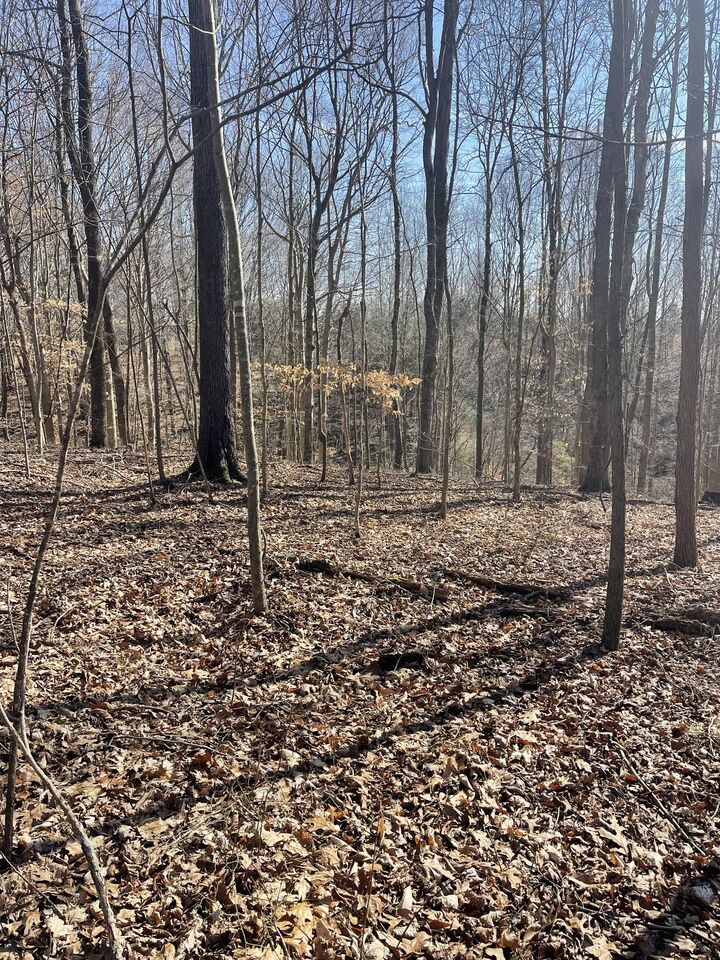 Property Photo:  165 Pleasant Hill Road  TN 37083 