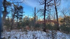 34 Dove Lane  Holiday Island AR 72631 photo