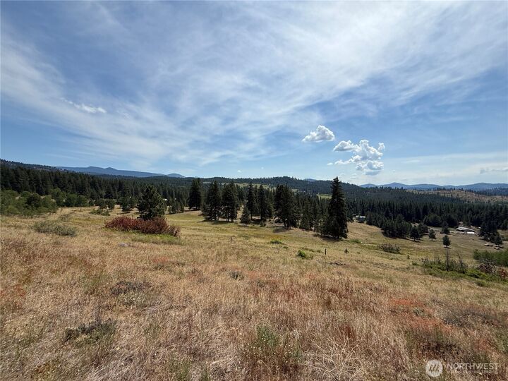 Property Photo: 0 Lot 19 Seth Lane WA 99166