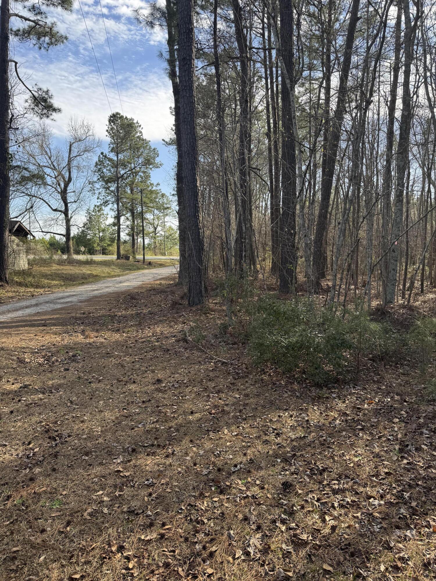 Property Photo:  0 Branton Lane  SC 29461 