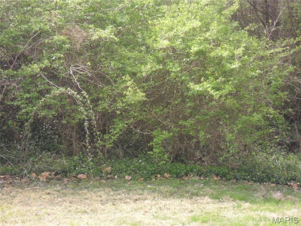 Property Photo:  100 S 98th Street  IL 62223 