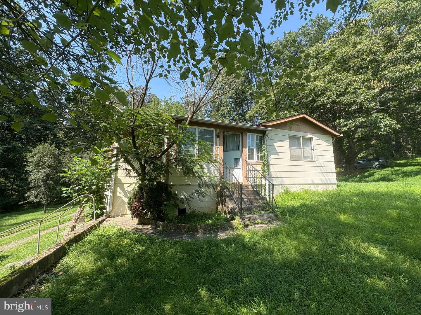 6040 Coon Tree Road  The Plains VA 20198 photo