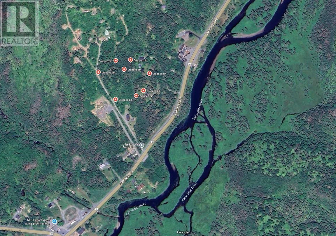 Property Photo:  0 Salmonier Line  NL A0B 1G0 