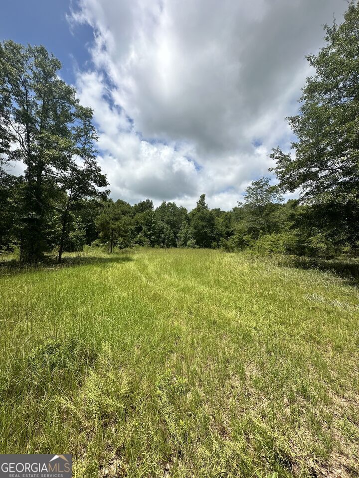 Property Photo:  4130 Ga Hwy 26  GA 31803