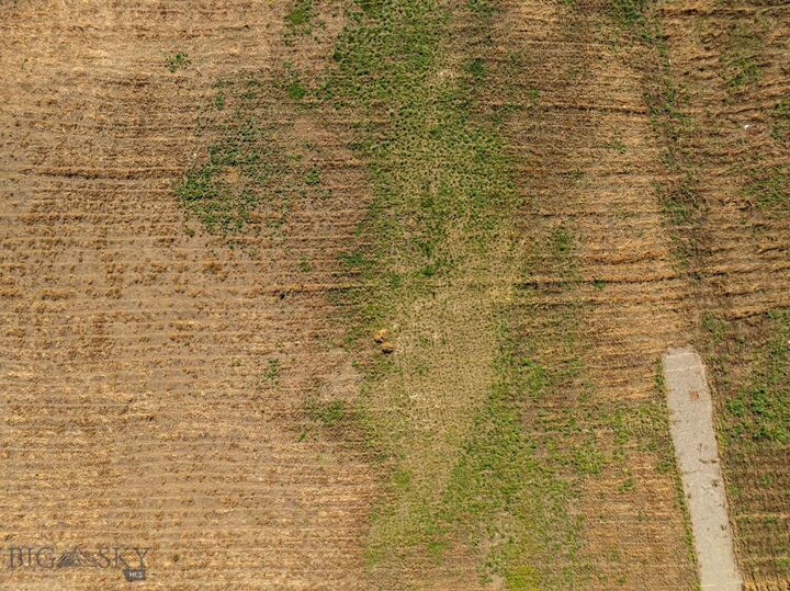 Property Photo:  Tbd Nelson Rd  MT 59718 