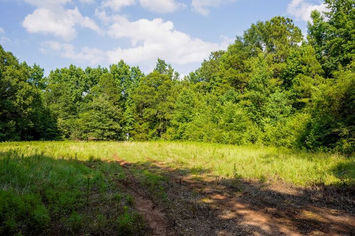 Property Photo: Pid 819 County Road 837 TX 75964