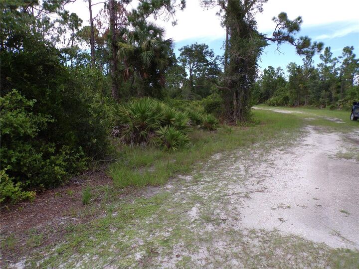 Property Photo:  12259 Catridge Circle  FL 33955 