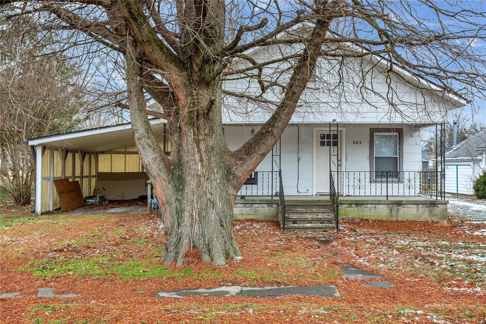 Property Photo: 503 S McLeansboro Street IL 62812