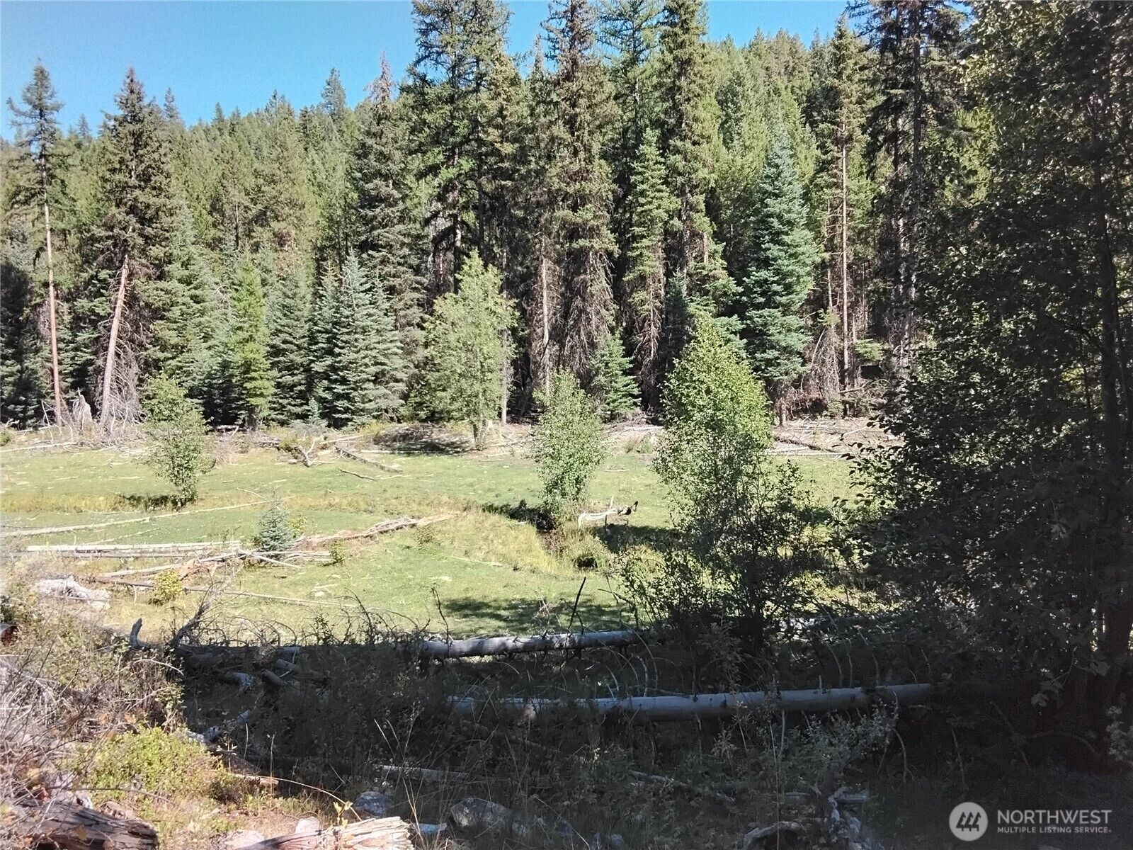 Property Photo: 0 Little Place Road WA 98855