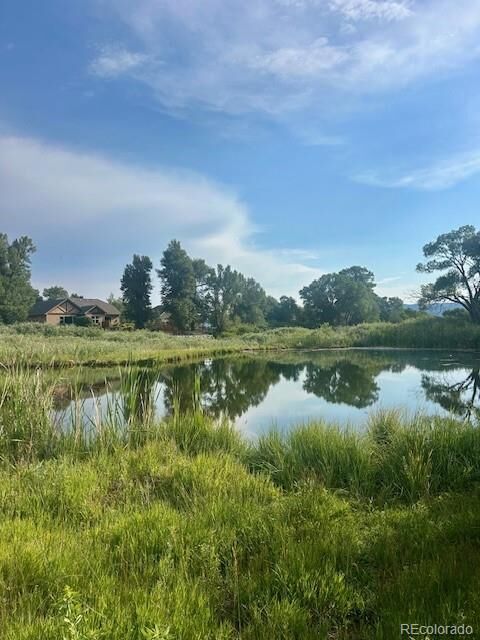 Property Photo:  1105 Little River Lane  CO 81242 