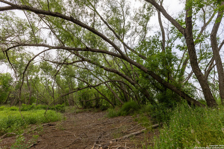 Property Photo: Tract 2 Shepherd Road TX 78002