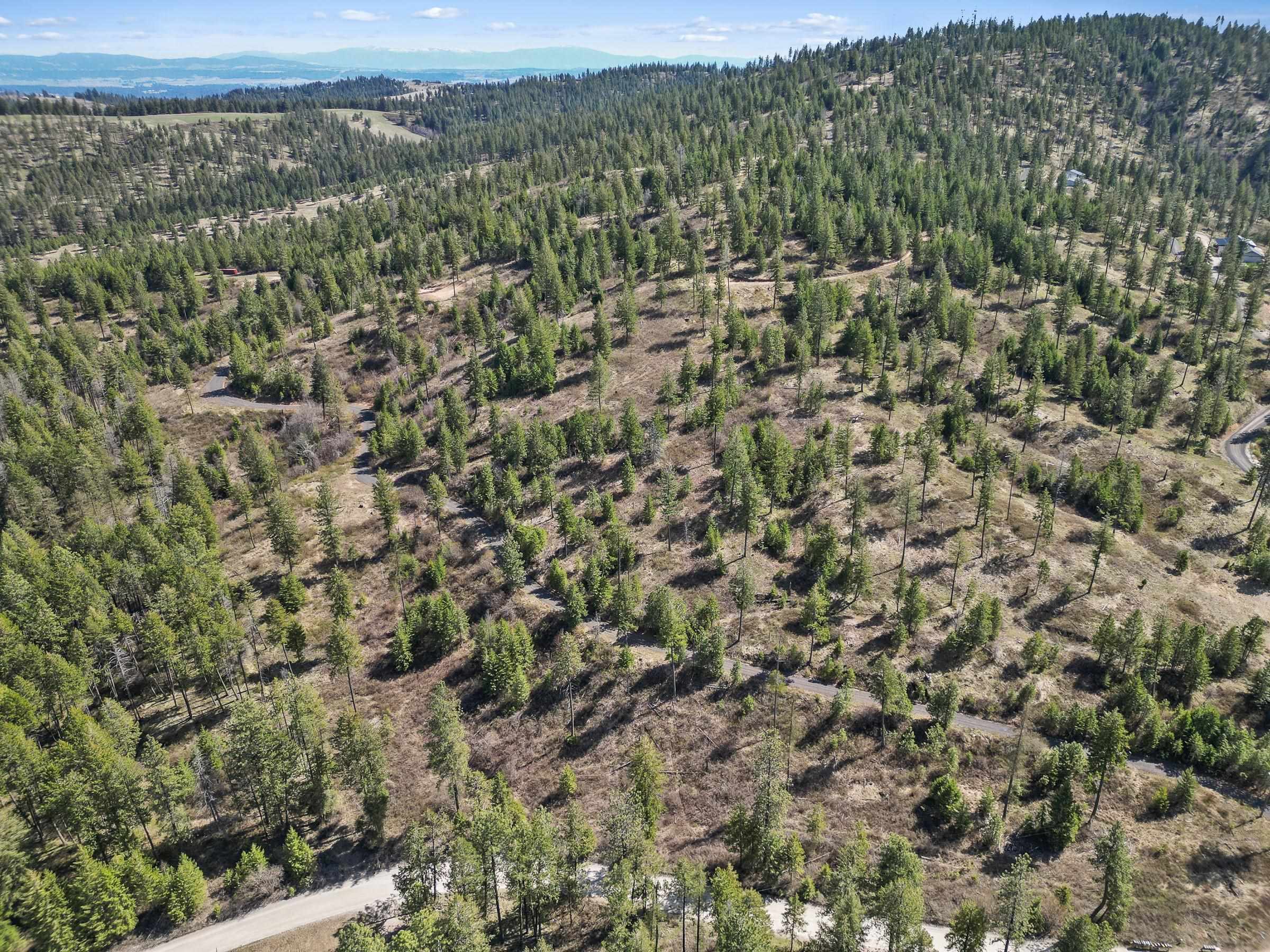 Property Photo: Nka N Moose Drool Ln Lot C WA 99208