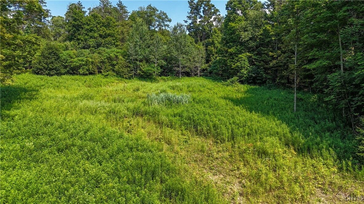 Property Photo: Clinton Avenue NY 13073