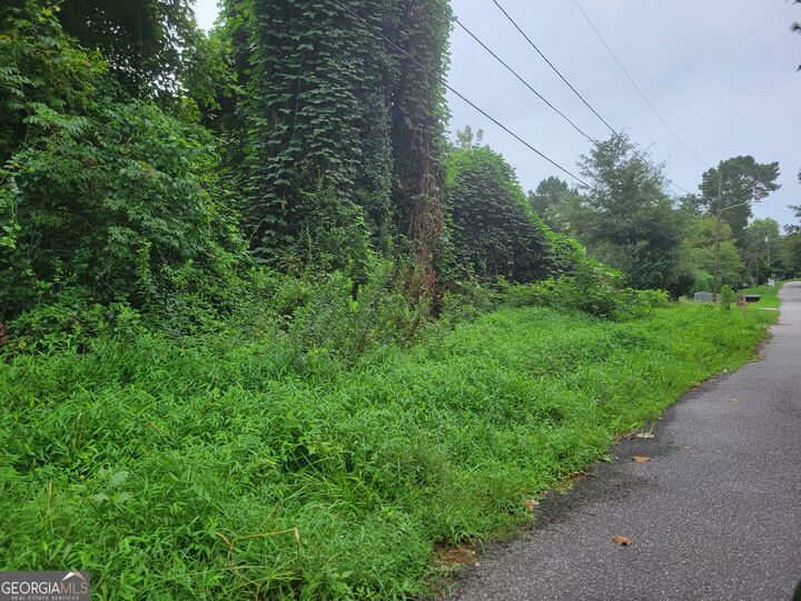 Property Photo: 0 Clemmons Drive GA 30294