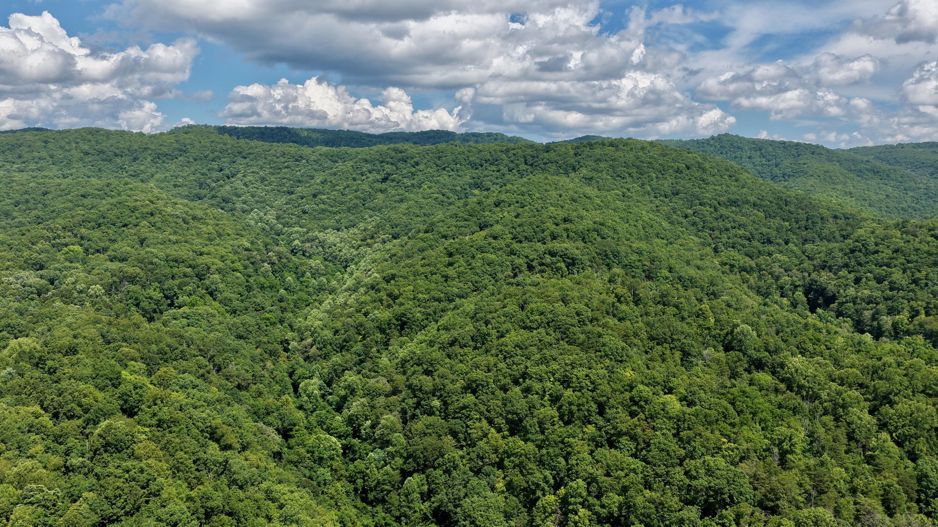Property Photo: Rt 7 Nr Creamery Rd WV 24985