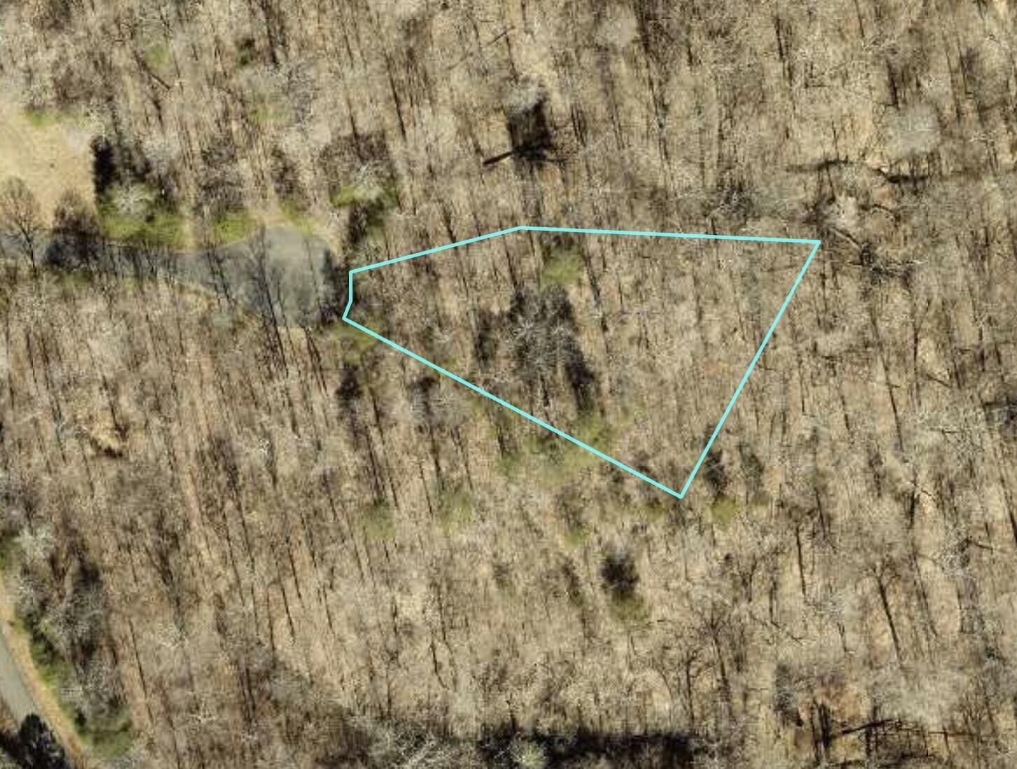 Property Photo:  Lot 5 Briarwood  KY 42642 
