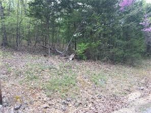 Wild Turkey Drive  Holiday Island AR 72631 photo