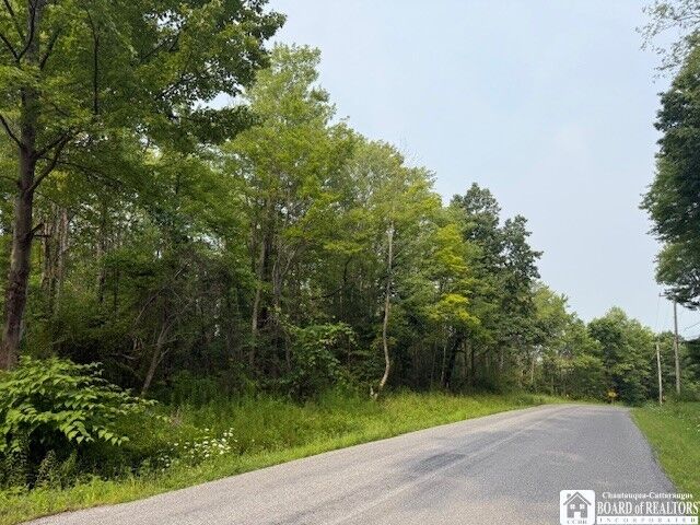 Property Photo: Horton Road NY 14701