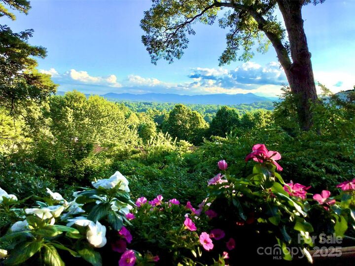 305 Piney Mountain Drive C-1  Asheville NC 28805 photo