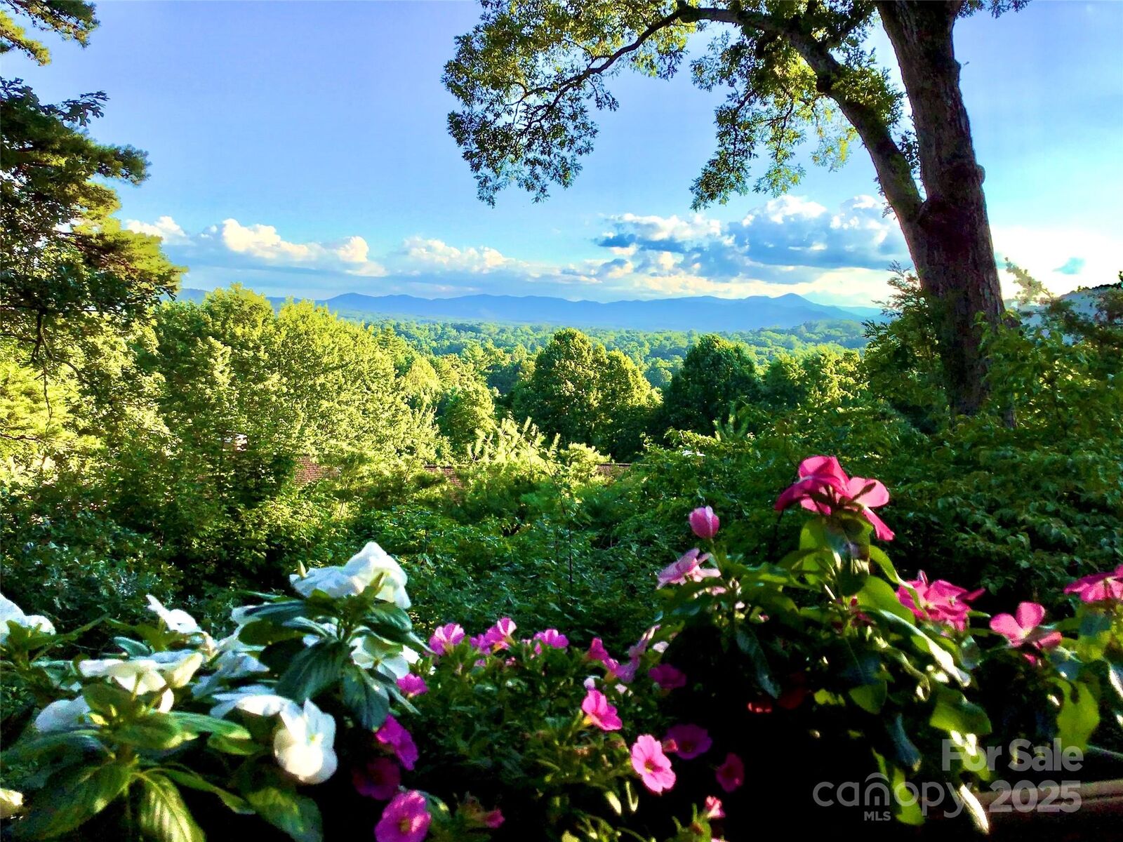 Property Photo:  305 Piney Mountain Drive C-1  NC 28805 