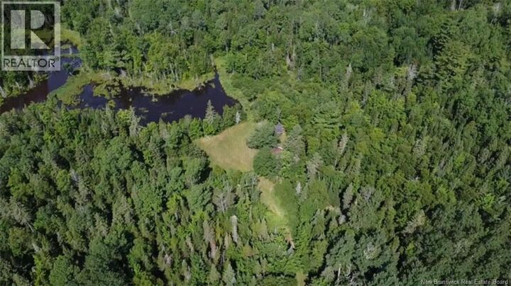76.8 Acres Little River  Little River NB E2A 6M7 photo